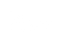 maven seo agency